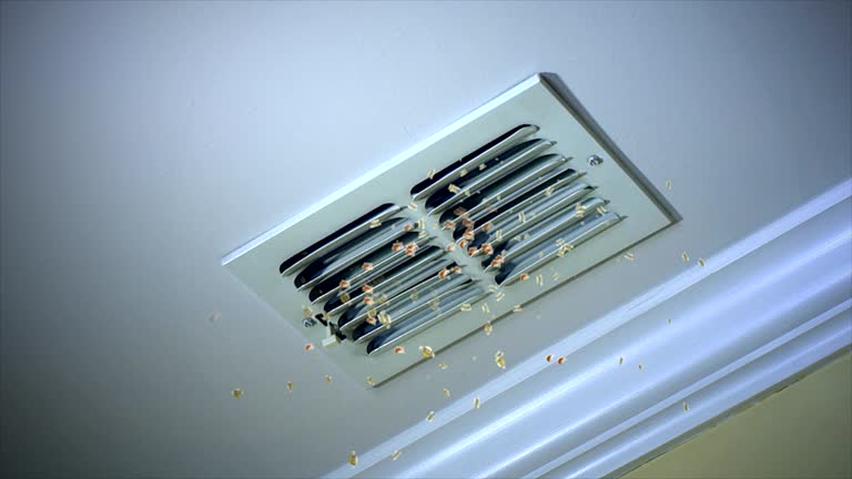 Best Best Air Duct Cleaning Company  in North Bend, WA